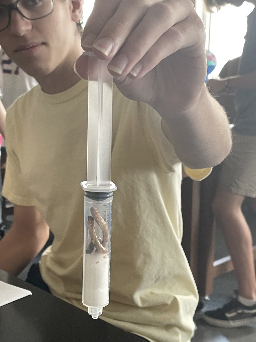LazareScience's tweet photo. When your AP Biology lab kit doesn’t make it in time you hit up your Chemmate Mr Silva for some fresh KOH, grab some respiring organisms and get to data documenting! #teamwork #dreamwork #respiration #nowormswereharmed 🪱 🪱 #jagscience #mrsknightneedsatwitter https://t.co/niCNtp0Dmv