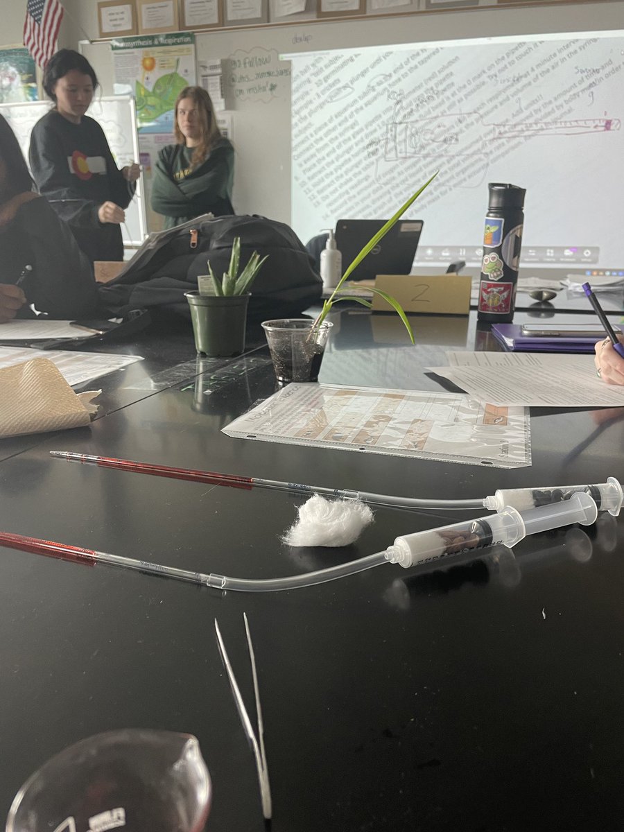 LazareScience's tweet photo. When your AP Biology lab kit doesn’t make it in time you hit up your Chemmate Mr Silva for some fresh KOH, grab some respiring organisms and get to data documenting! #teamwork #dreamwork #respiration #nowormswereharmed 🪱 🪱 #jagscience #mrsknightneedsatwitter https://t.co/niCNtp0Dmv