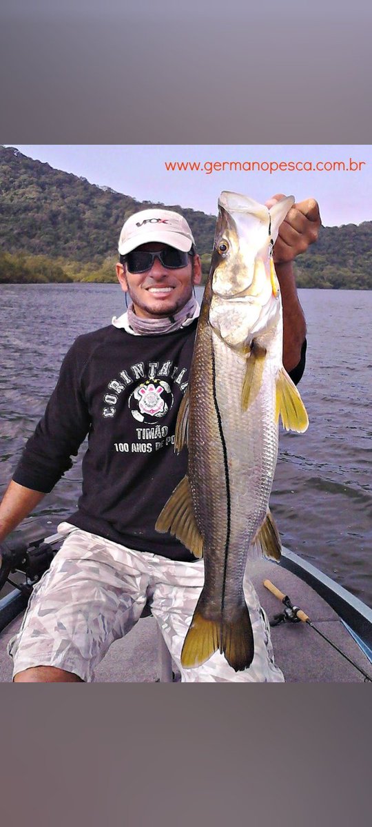 germanopesca's tweet photo. Robalo Flecha #robaloflecha #borapescar #pescarias #guiadepescagermanobertioga #guiaweltongermnao #jighead #jumpingjig https://t.co/pFAxJRJ9Ac