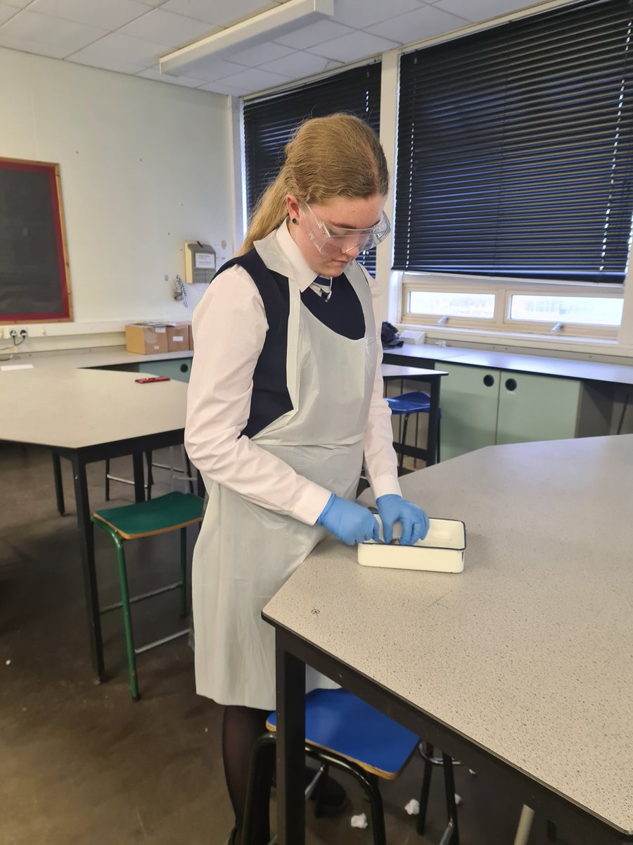 misskbarton_sci's tweet photo. Another amazing anatomy club tonight. 👁
Today we dissected eyes, and learned all about the structure of the eye and how it works. Such an amazing and beautiful organ... when you get past all the black goop! @FSDScience @AmbitionFram #anatomy #Biology #enrichment 👁 https://t.co/X6tiUjG0HM