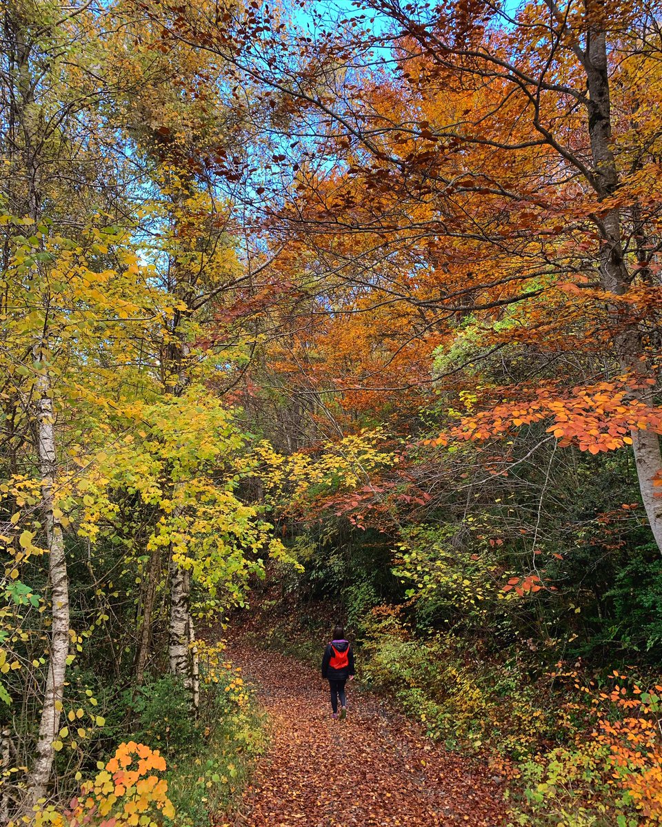Las primeras nieves siempre vienen acompañadas de pequeños placeres.