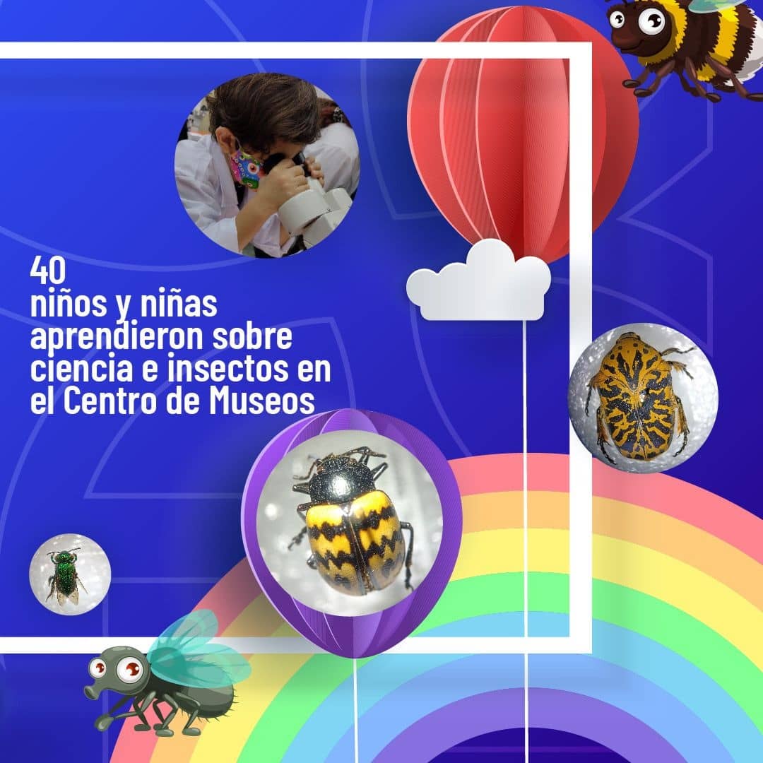 Durante tres días el Centro de Museos fue el laboratorio para que niños y niñas aprendieran y conocieran de la mano de un científico el grupo de animales invertebrados de la Colección de Entomología.

#ProyeccionDeImpacto
#25AñosCentroDeMuseos