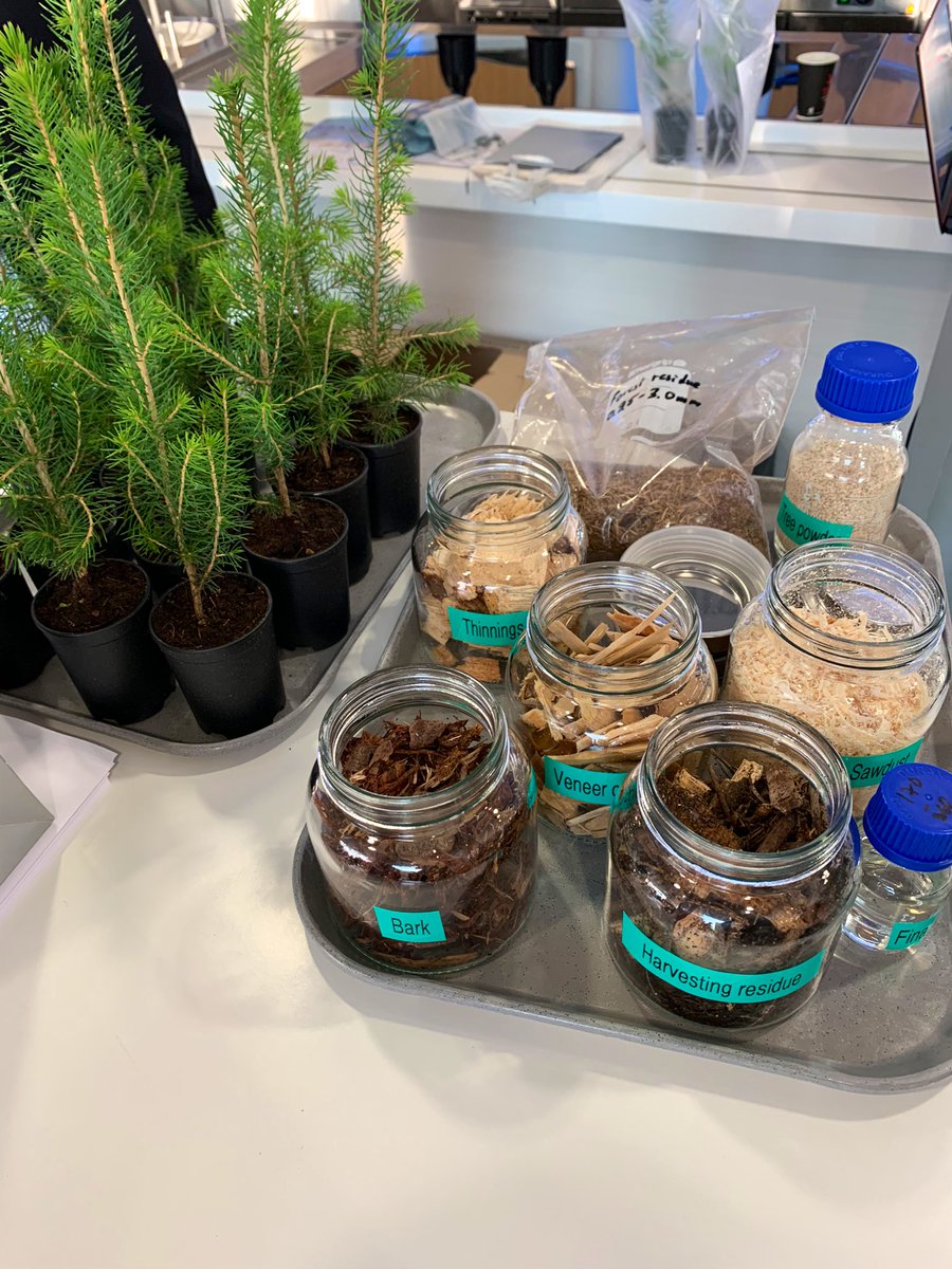 waltertogo's tweet photo. Very exciting day at Neste’s Innovation Fair today! 👏🏼💡♻️  #innovation #nestelife #sustainability https://t.co/sVFA9sAsLZ