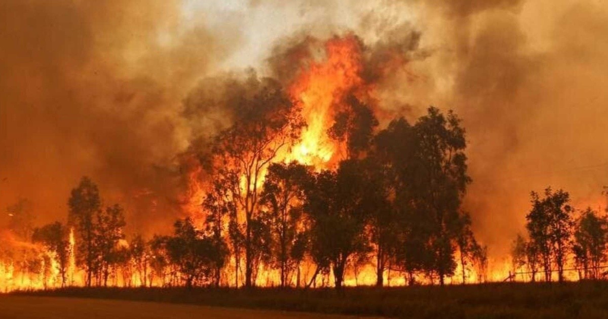 DanielME22's tweet photo. Más del 80% de los incendios son provocados por el ser humano. @irialonsorubio , ¿tú que harías para poder evitar que el número de incendios aumente?
#edsocialuva #DCSUVA https://t.co/9s536W2gkk