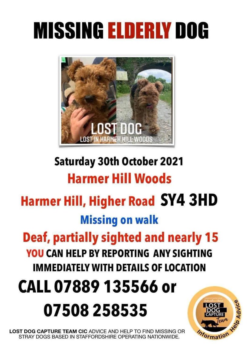 MISSING ELDERLY DOG 30/10/21 #HARMERHILL #WOODS HARMER HILL, HIGHER ROAD #SY4 Deaf, partially sighted & nearly 15 💥💥LOCALS PLS HELP💥💥 facebook.com/10000361966231…