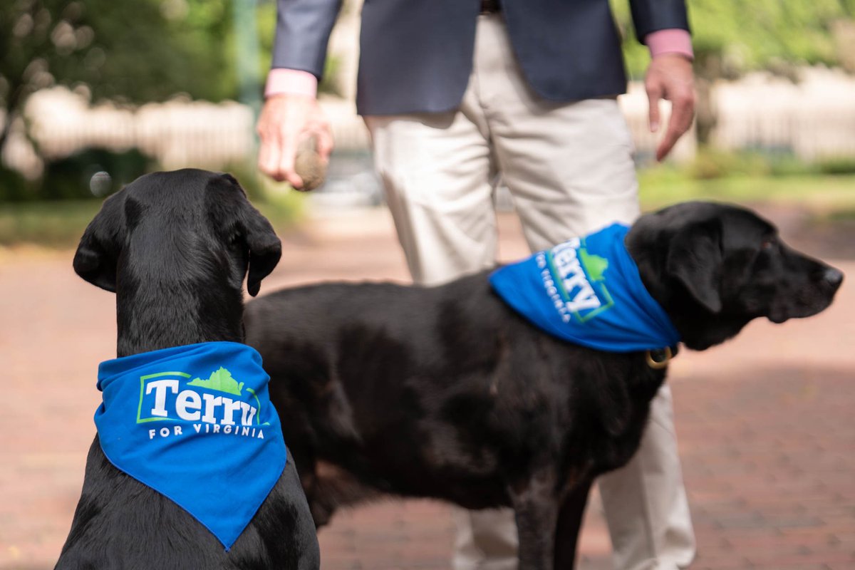 Pamela Northam (@pamnorthamva) on Twitter photo Murphy and Pearl want to know - have you voted for <a href="/TerryMcAuliffe/">Terry McAuliffe</a>, <a href="/HalaAyala/">Hala Ayala 🪷</a>, and <a href="/MarkHerringVA/">Mark Herring</a> yet today? If not, paws for a moment and check the link below to find your polling place!
🗳 iwillvote.com/va 🐶 Murphy and Pearl want to know - have you voted for <a href="/TerryMcAuliffe/">Terry McAuliffe</a>, <a href="/HalaAyala/">Hala Ayala 🪷</a>, and <a href="/MarkHerringVA/">Mark Herring</a> yet today? If not, paws for a moment and check the link below to find your polling place!
🗳 iwillvote.com/va 🐶