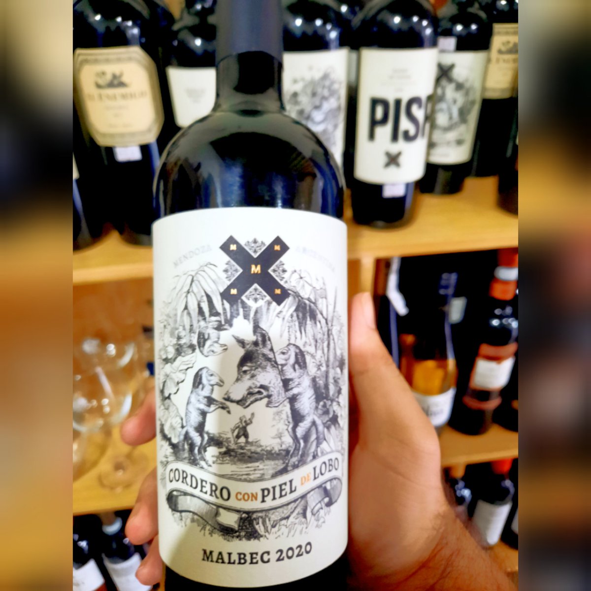 TeddieBearRj's tweet photo. Achei o vinho que me representa. Será??
🐺🐕
#beardog
 #dogwolf #bearwolf #Bears #puppyplay #dogplay https://t.co/07xDHmS2rz