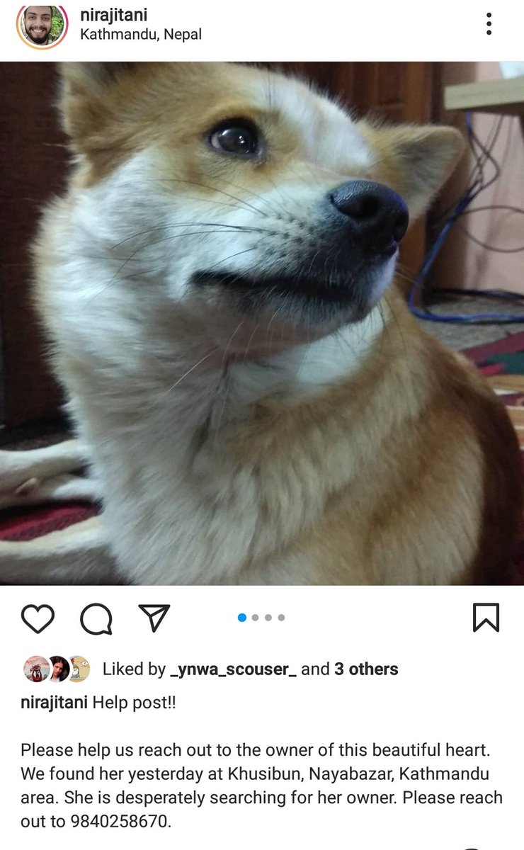 niraj_itani's tweet photo. Help post!!

Please help us reach out to the owner of this beautiful heart. We found her yesterday at Khusibun, Nayabazar, Kathmandu area. She is desperately searching for her owner. Please reach out to 9840258670. https://t.co/ZQKeYTq2lL