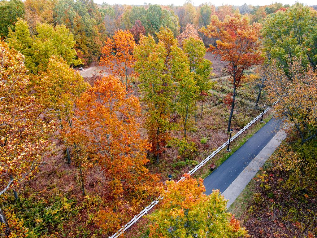 MyMetroparks's tweet photo. Wildwood has been taken over by fall foliage. https://t.co/HHw55xKYLk