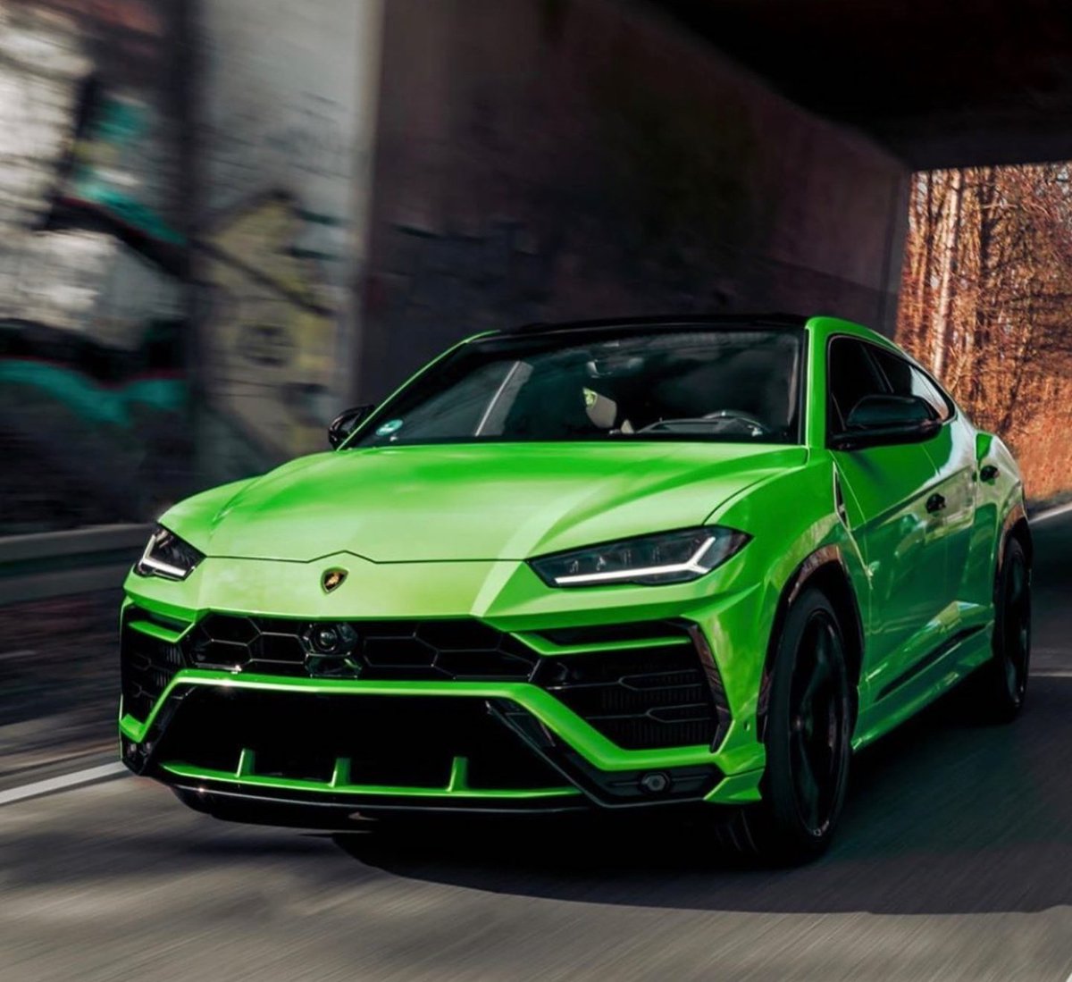 DailyLamboTM's tweet image. Rolling frog 🥰