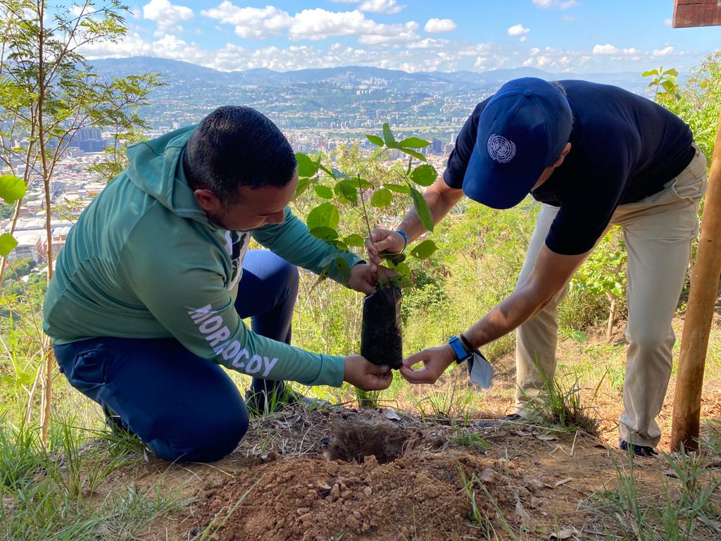 Hoy, en el marco de la Conferencia sobre el cambio climático de la ONU #COP26, inauguramos el Bosque de las Naciones Unidas en Venezuela 🇻🇪, en el Parque Nacional Waraira Repano, con el apoyo de <a href="/MinecOficialVe/">Minec Oficial</a> e @InparquesVE