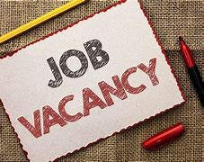 Shelley stinton tweet media