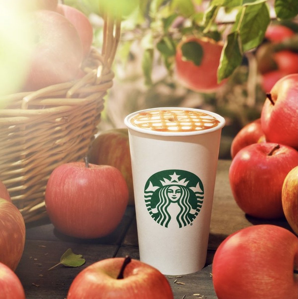 Bayfair Center tweet media