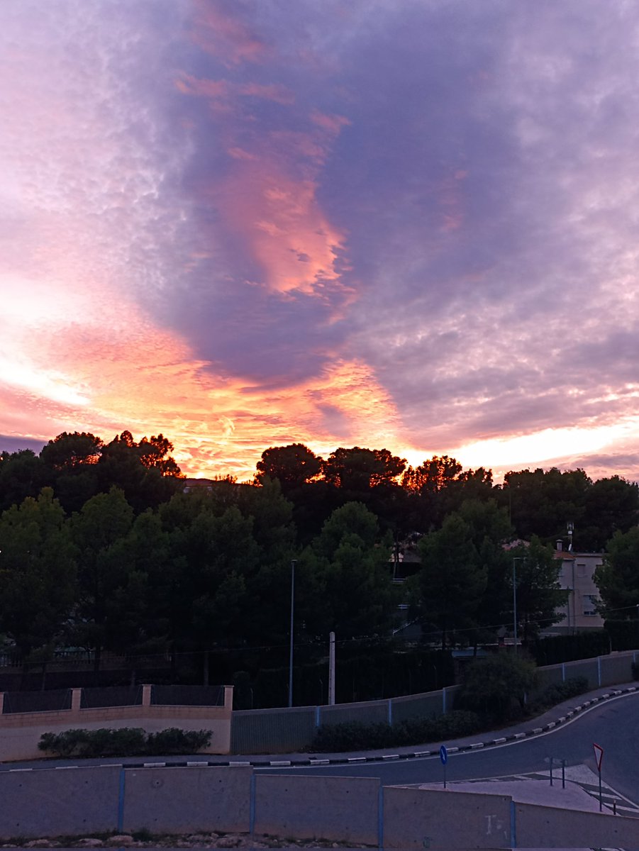 ruben_n93's tweet photo. Es demasiado bonito para no fotografiarlo 🥺😍 https://t.co/gm4dx049U6