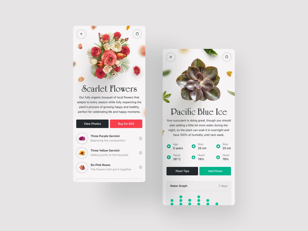 Ramon Gilabert tweet media