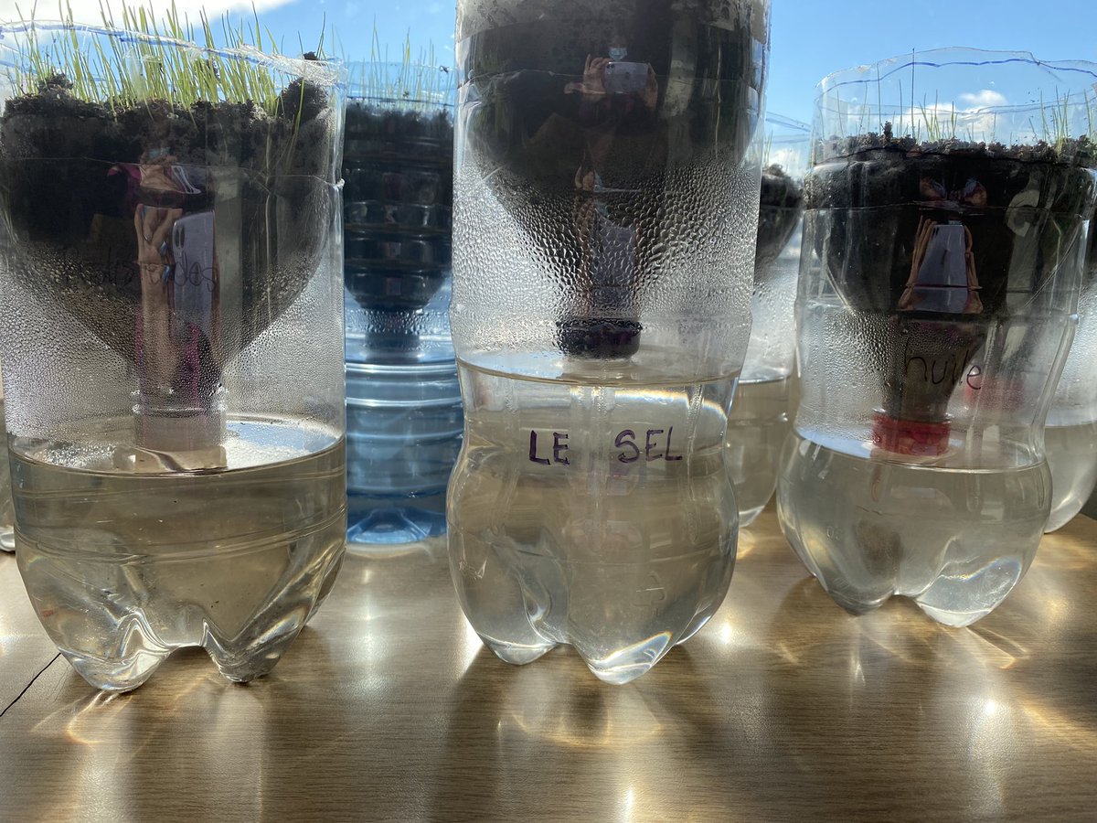 Julliard PS tweet media