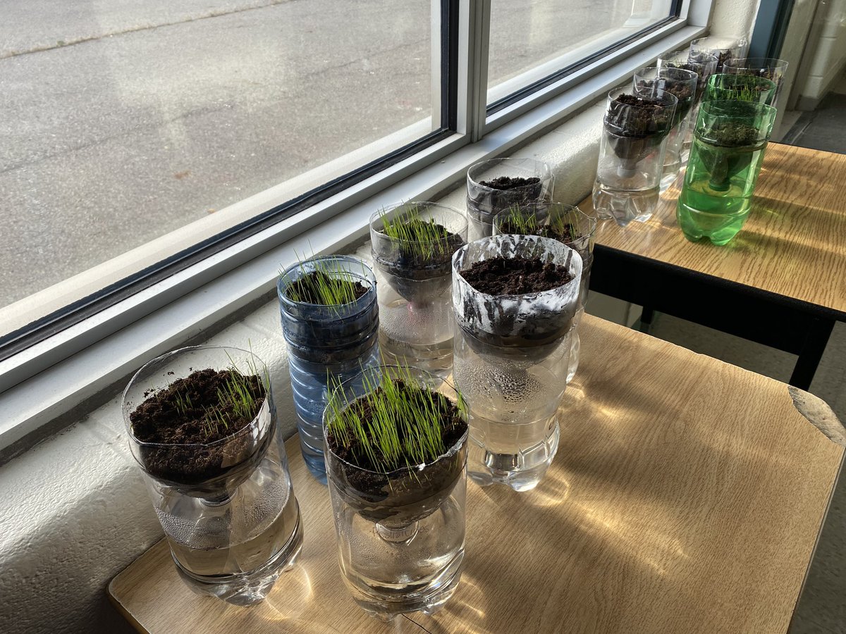 Julliard PS tweet media