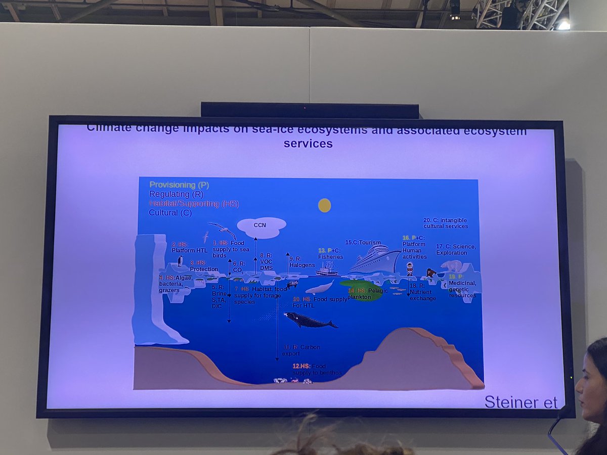 I learned a lot attending some of the insightful presentations at #cryospherepavilion @BolinCentre  #COP26 today