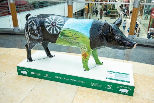 _UoWNews's tweet photo. We’re thrilled that Winton, our @_UoW Hampshire Hog
🐖by the talented @AmySculptor, has found a new home & raised £800 for #animalwelfare charity @Nowzad in the @basingstoke #charity auction.
#HantsHogs @FestivalPlace https://t.co/zP98sellIy