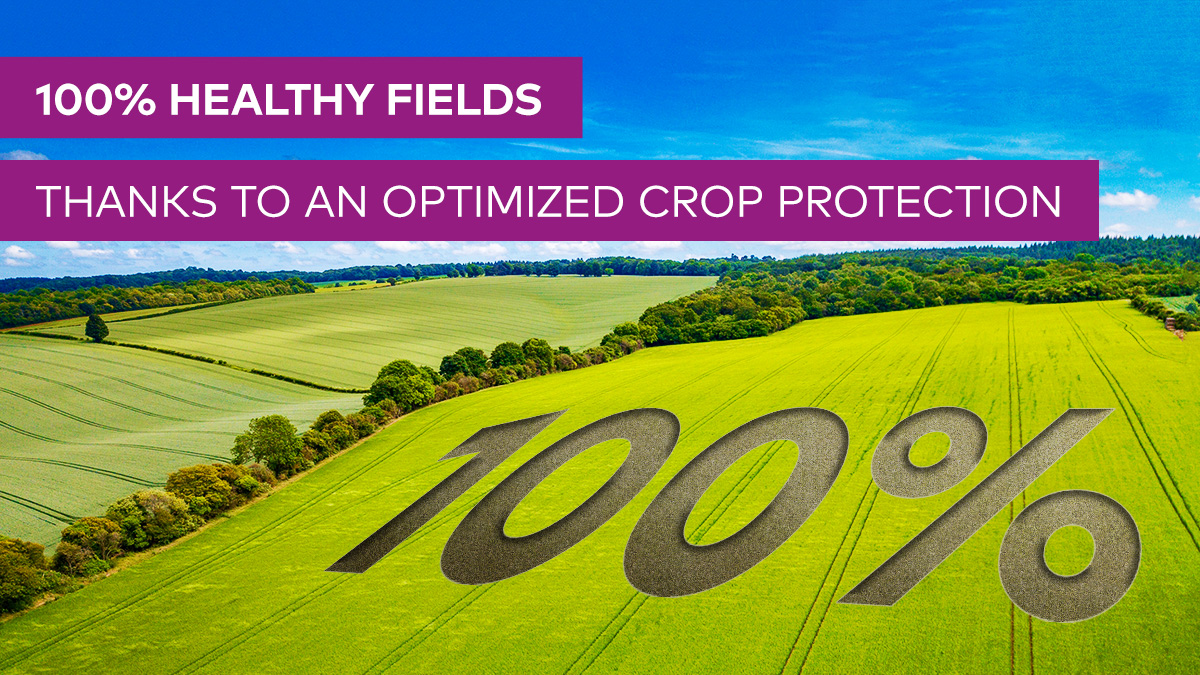 xarviodf's tweet photo. For two years in a row, we are celebrating 100% #HealthyFields and satisfied customers! Our #xarvio HEALTHY FIELDS service is an innovative way to protect your crops with peace of mind and guaranteed results! #digitalfarming
Learn more: https://t.co/Ue4VWBVDrA https://t.co/jdy9GSO8jc
