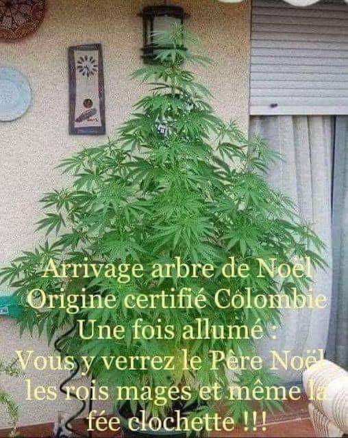 Elecktra2022's tweet image. Voilà si ça intéresse quelqu'un 😂😂🤣