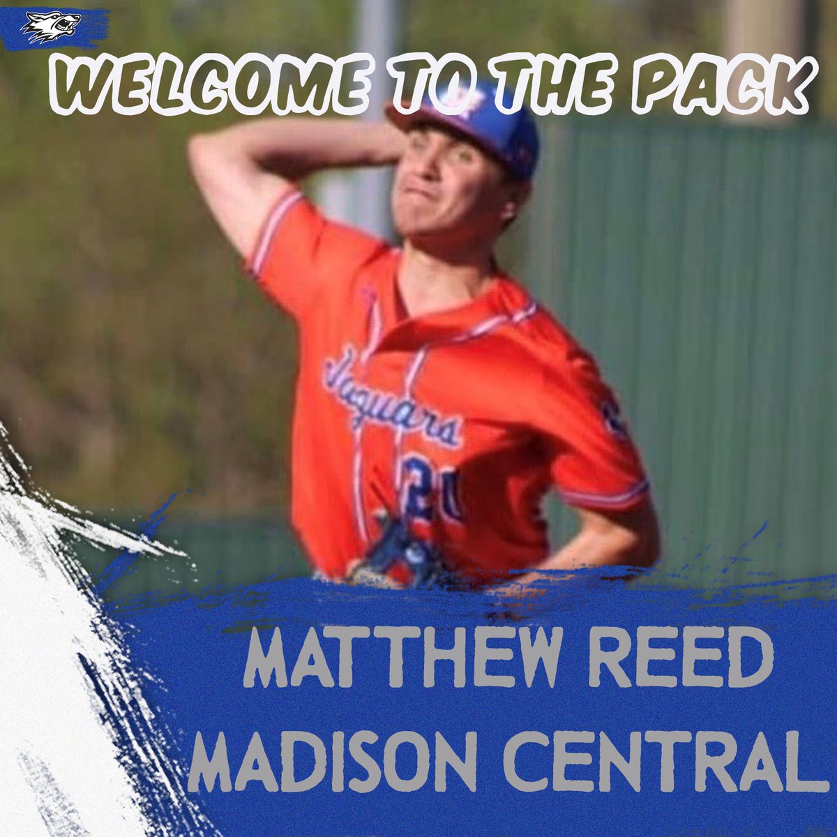 Welcome to The Pack!!