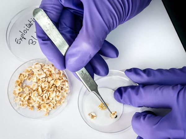 Quai Des Savoirs tweet media