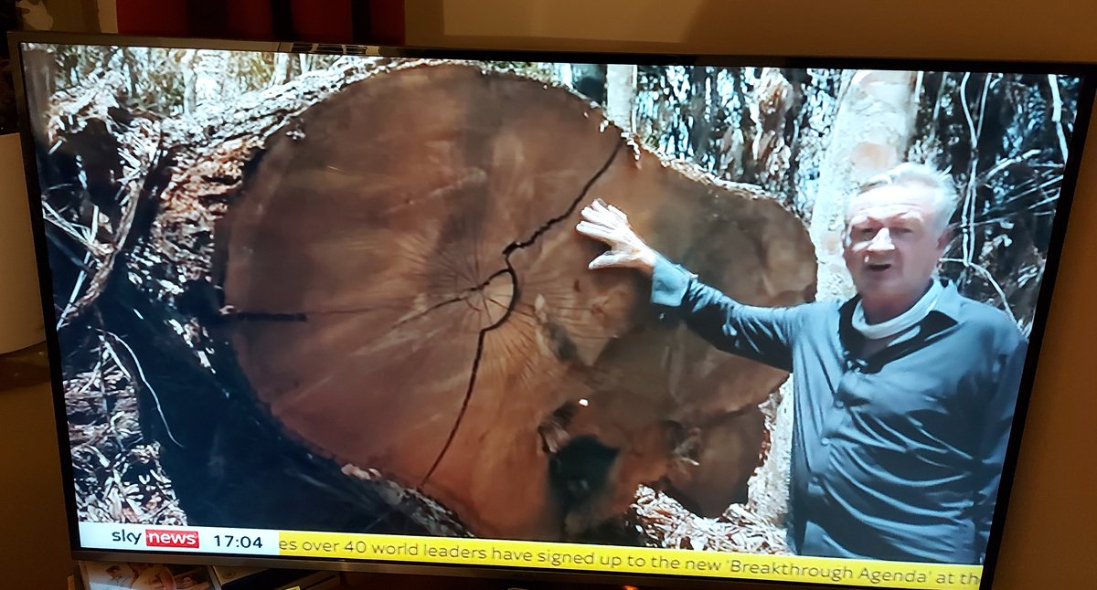 rsen5's tweet photo. @RHarrabin @SkyNews #StuartRamsay now reporting from Manaus, Brazil on devastating negative impacts of uncontrolled Amazon rainforest logging on local communities, biodiversity and rivers. Based on latest Brazilian data ☝ clear that rampant #deforestation to 2030 will continue #COP26 https://t.co/O2lSQiEZ55