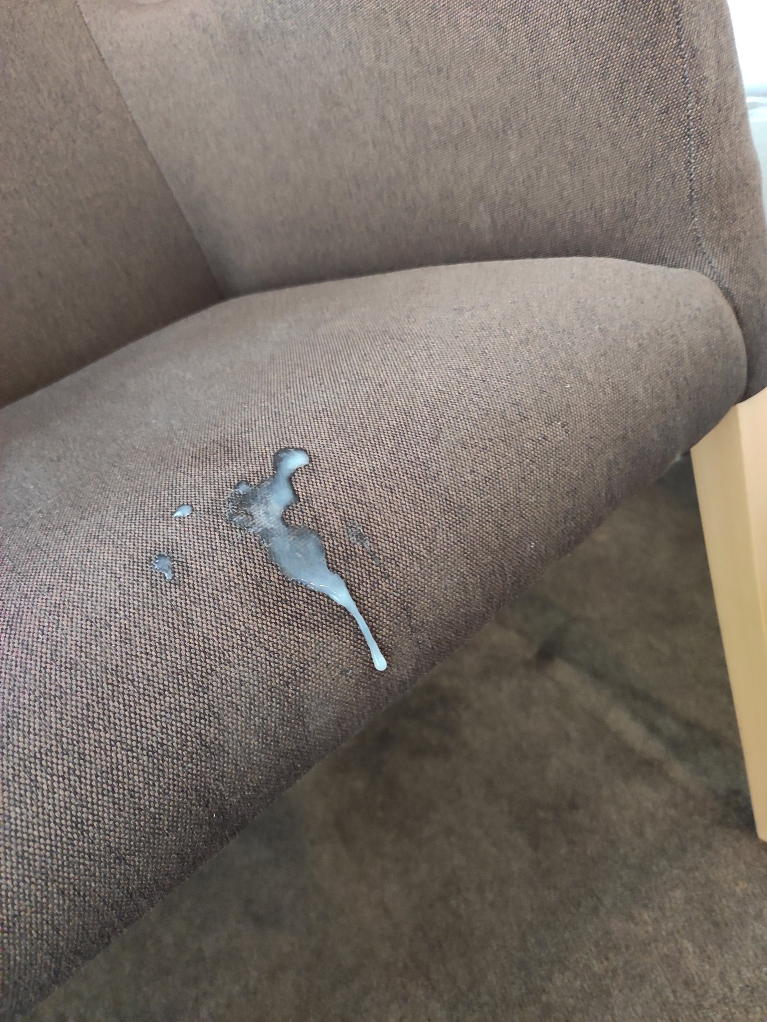 My cum on chair ????? #cum #cumshot #sperm #malesemen #jerkoff #thickcum https://t.co/WedJaKMkfO