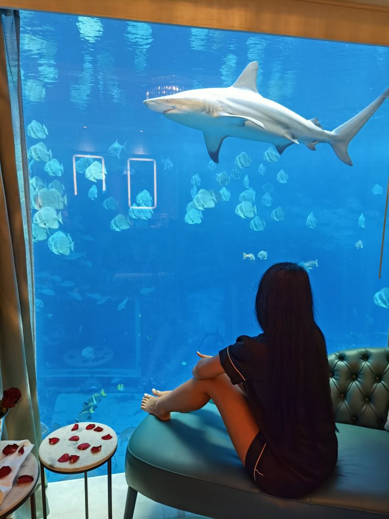 I never thought I would end up sleeping with the fishes 😅