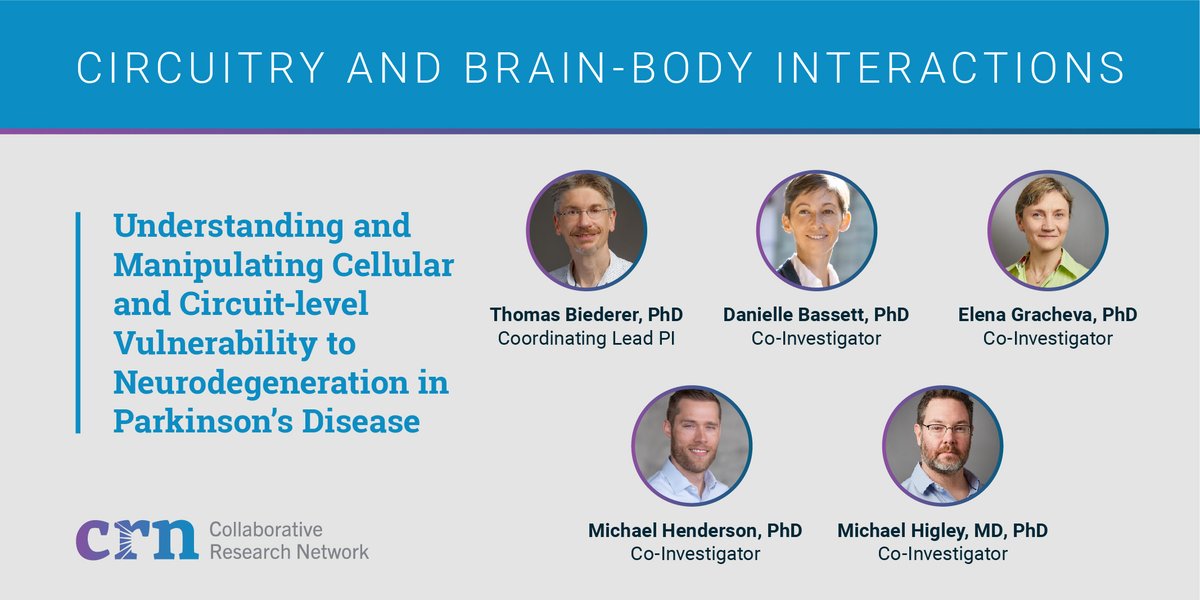 Aligning Science Across Parkinson’s (@asap_research) on Twitter photo By modeling how aggregation of alpha-synuclein in vulnerable cells impairs neuronal cortical network function, the <a href="/BiedererLab/">Biederer Lab</a> team will gain insight into targeted therapeutic treatments of #PD. #ASAPGrantees <a href="/MXHend/">Michael Henderson</a> <a href="/DaniSBassett/">Dani S. Bassett</a> <a href="/mjhigley/">Michael Higley 🧠🌈🔬</a> By modeling how aggregation of alpha-synuclein in vulnerable cells impairs neuronal cortical network function, the <a href="/BiedererLab/">Biederer Lab</a> team will gain insight into targeted therapeutic treatments of #PD. #ASAPGrantees <a href="/MXHend/">Michael Henderson</a> <a href="/DaniSBassett/">Dani S. Bassett</a> <a href="/mjhigley/">Michael Higley 🧠🌈🔬</a>