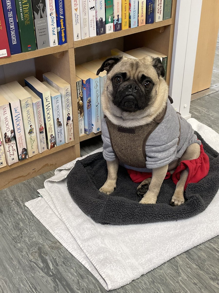 Truly a book for everyone at CHAS charity library. Bosco was delighted with his find today. <a href="/supportCHAS/">Children's Hospices Across Scotland</a> <a href="/caz210987/">Caz</a> <a href="/MorrisLeslie/">The Morris Leslie Group</a> #volunteering #fundraising