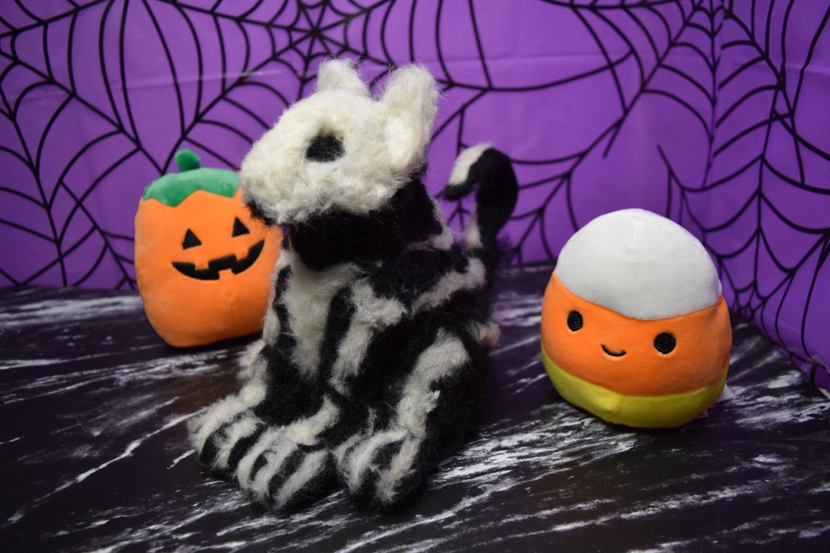 Hello cool cats! Meet my spooky cats! 🎃👻🐱 new video on the channel. Thanks for the support 😊 

#feltingwool #needlefelting #needlefeltinganimals #fallcrafts #CatsOfTwitter #Halloweenart #wetfelting #CatsLover