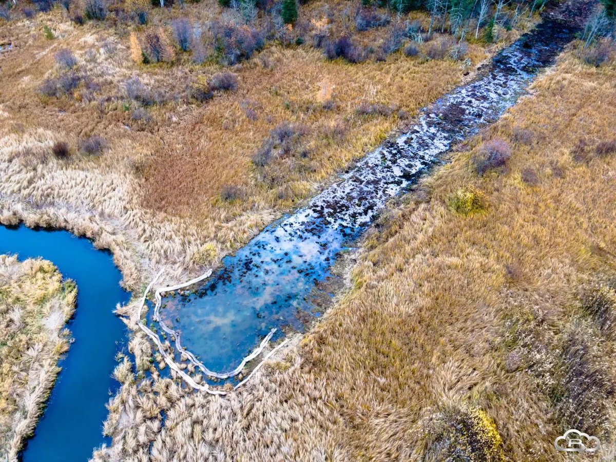Web3Resist's tweet photo. Mississippi headwaters before Line 3 // After https://t.co/80qAX06CyP
