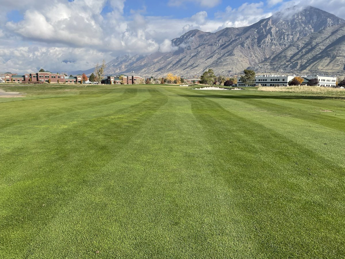timpagronomy's tweet photo. Decided to do stripes instead of our regular 50/50 cut. #stripeshow #laser #beams. Looking good @laserbeam5643 https://t.co/Vv395lmeHR