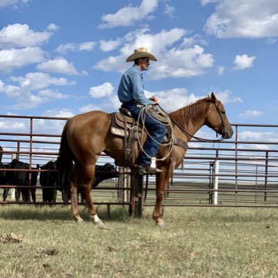 OkkeMason's tweet photo. #NewProfilePic https://t.co/7Otjdz8z10