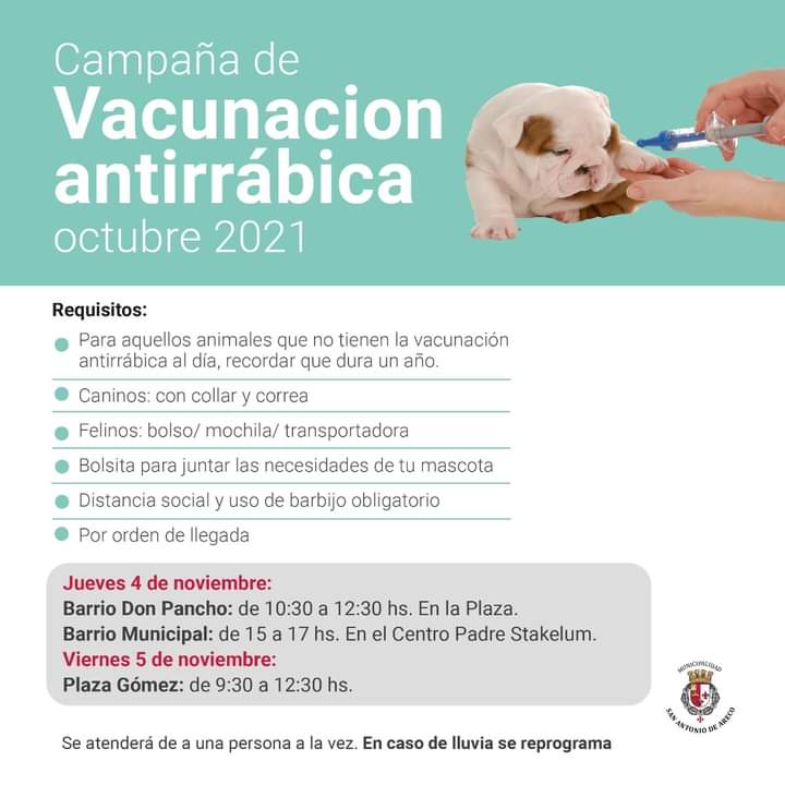 Atención 🐕 y 🐈!!!
Continúa la campaña de vacunación antirrábica según calendario, los esperamos! 💉
@municipioareco @NanoPereaSADA @MiguelAmadeoh @CarinaLescano @SRezolino @oscarcachinovie @myriamsolja