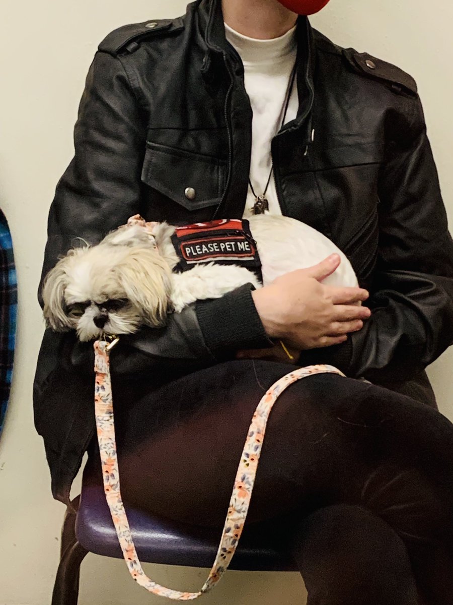 Thank you Go Team Therapy Dogs!!!
#GoTeam
#odysseyecco
#therapydogs
#stressrelieverweek