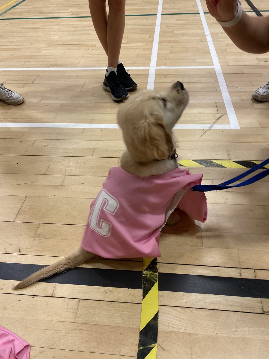 been a great start to my second week on placement at <a href="/Leithpe/">Leith PE</a> !! today was fitness with s1 boys, netball with s2 girls and netball after school club which we have a new mascot for 🥺🥺