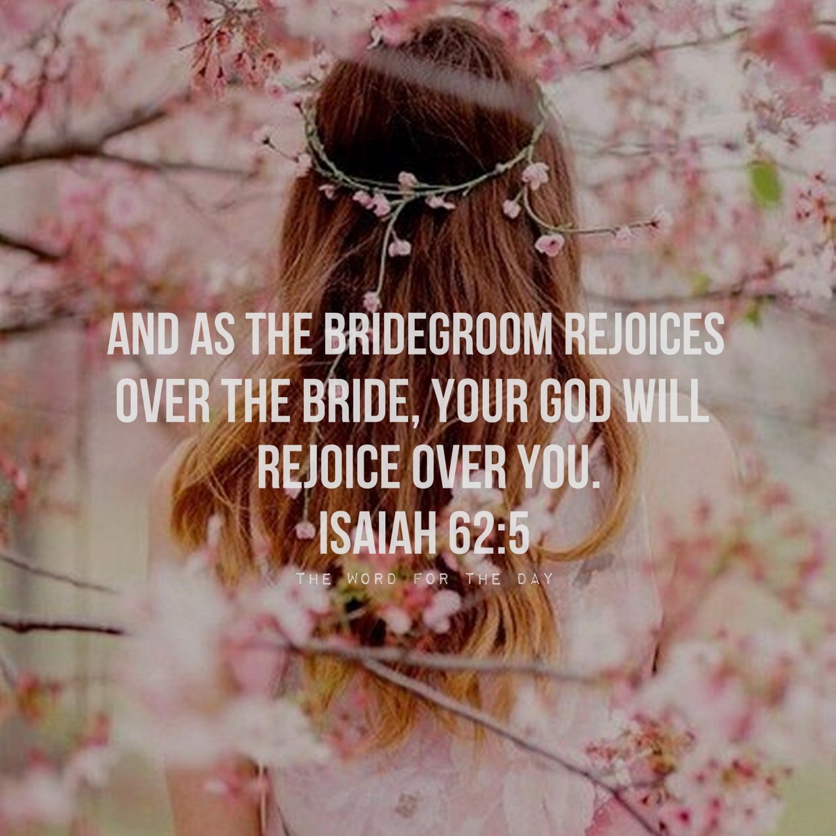 Grace_Of_God_JC's tweet photo. https://t.co/bIYlgwpNR3