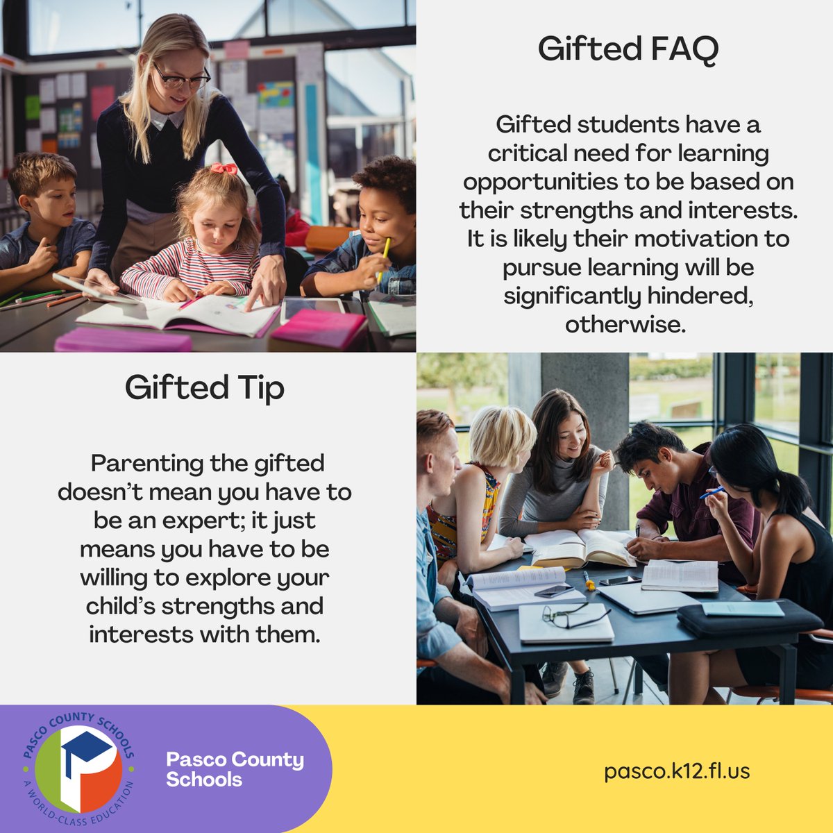 Pasco County Gifted tweet media