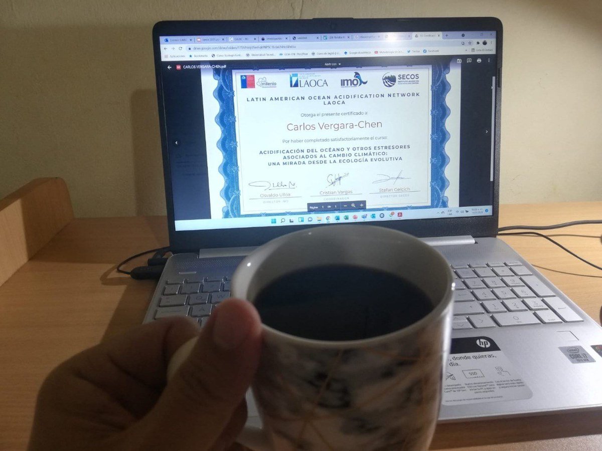 vergara_chen's tweet photo. Cosas de la virtualidad: café al cierre del curso latinoamericano "Acidificación del Océano y Otros Estresores Asociados al Cambio Climático: Una mirada desde la Ecología Evolutiva". Muchas gracias @drcavargas @imochile @MilenioSecos #LAOCA #océano #cambioclimático https://t.co/DlVica5EZ2