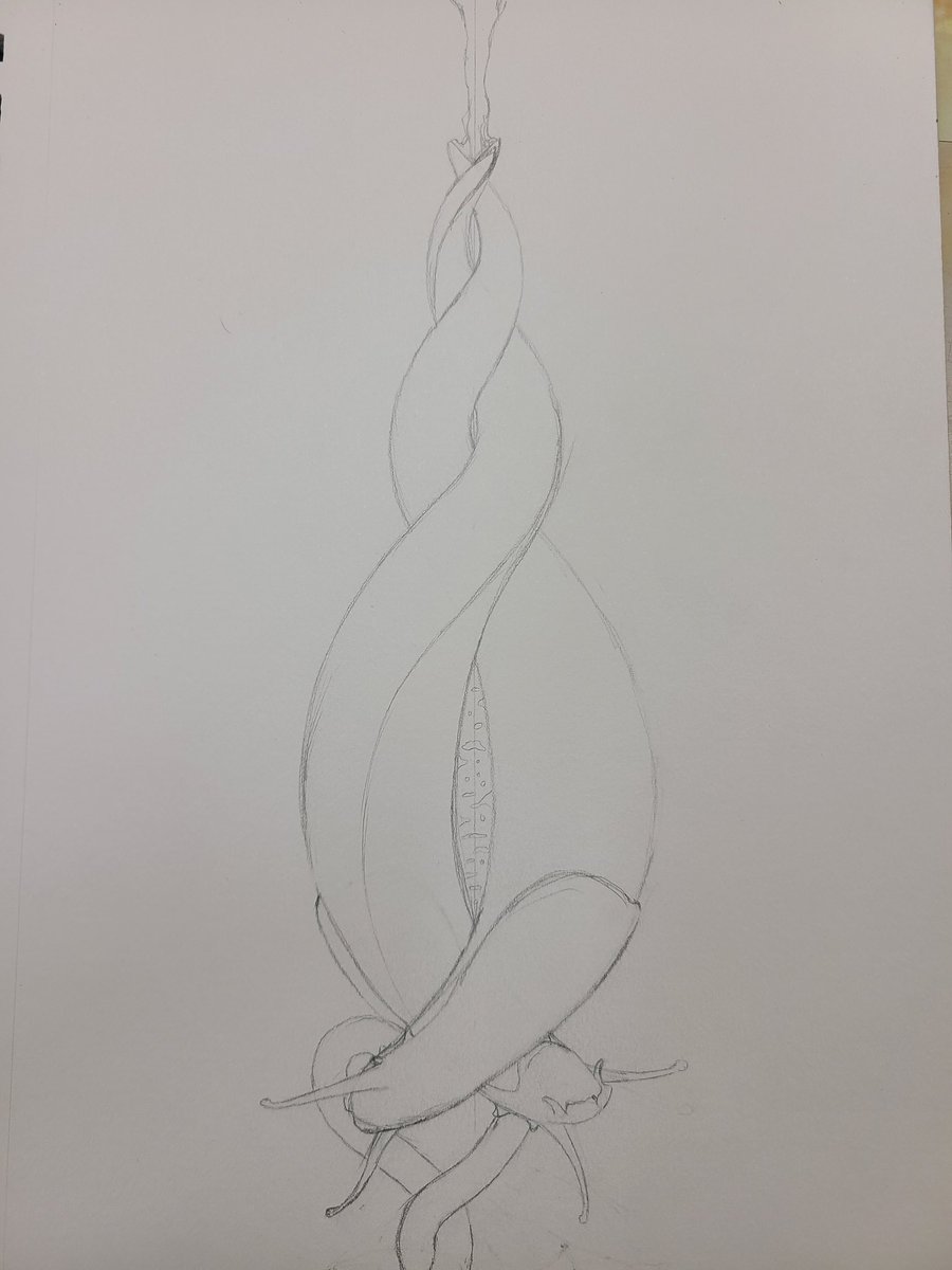 DesignBnb's tweet photo. If you know, you know......
#art #drawing #coloringbook #bugart #adultcoloringbook #entomology #entomologyart #bug #insects #slime #slug #slugsandsnails #slugart https://t.co/iIowVEzAXE
