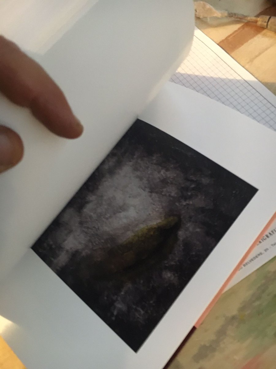 Accademia L'Aquila tweet media