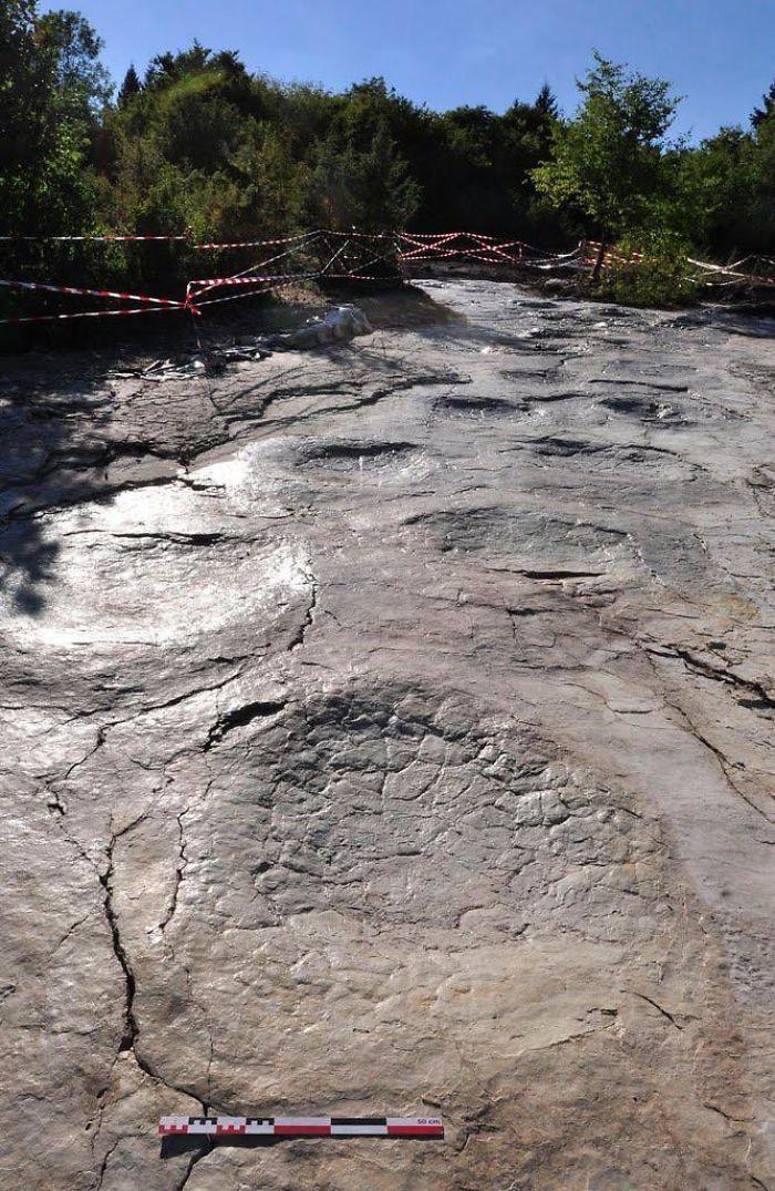 The biggest dinosaur footprints ever discovered in Plagne, France