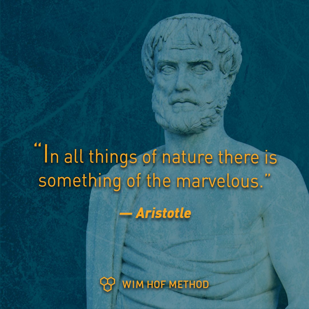 When we interact with nature, miraculous things can happen. X

Drop a ❤️if you agree

#nature #miracle #mothernature #interact #breathe #connect #mind #body #soul #aristotlequotes #inspiration #innernature