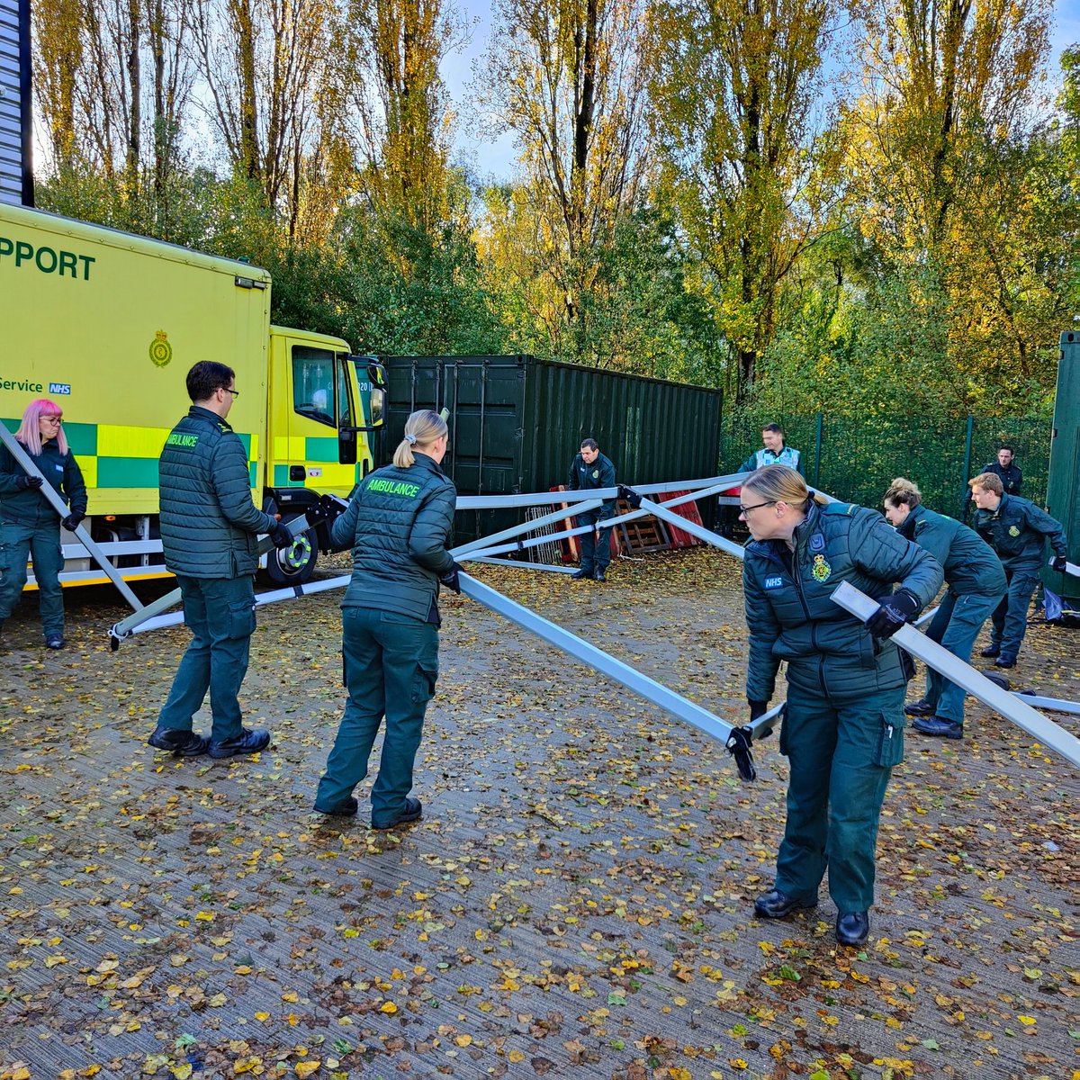 NWAmb_SORT tweet media