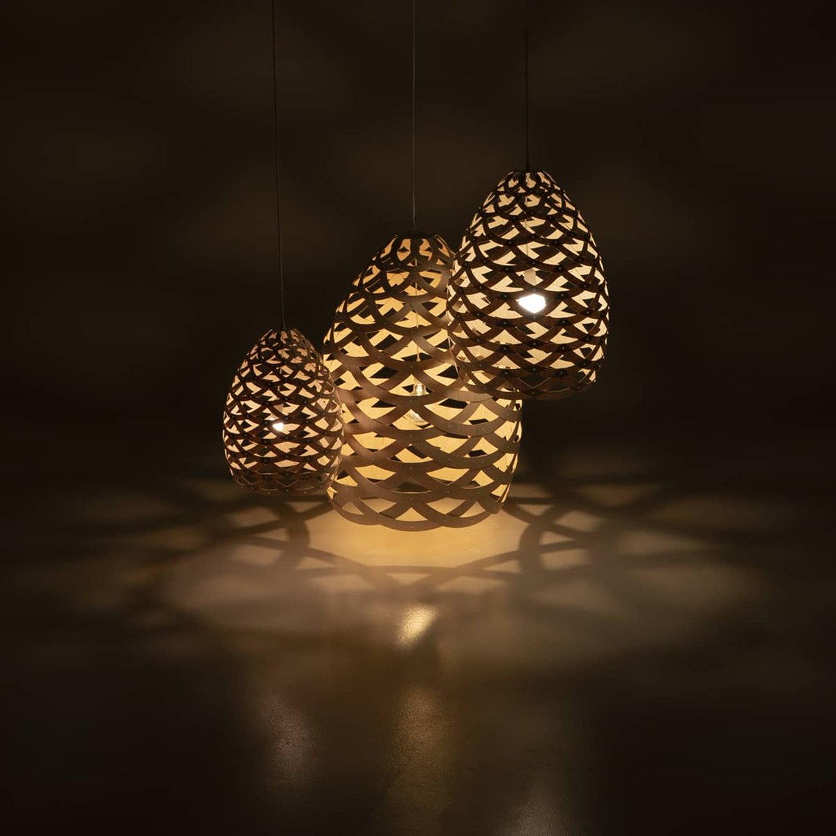 Say hello to our new light Tūī.
