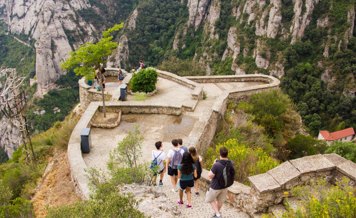 Abbey Road Programs tweet media