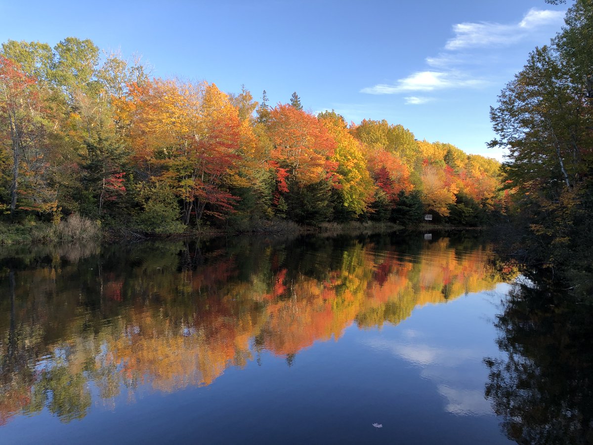 BoxbriteTech's tweet image. Happy November! For the month of October we did a Fall and Halloween photo challenge. For the Fall theme Hue took this stunning photo in PEI quoting the classic Anne of Green Gables “ I am so glad I live in a world with Octobers.”